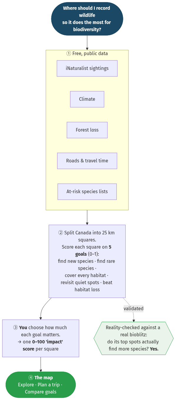 Flowchart: question → free public data → 5 goals per 25 km square → impact score → the map; validated against a real bioblitz